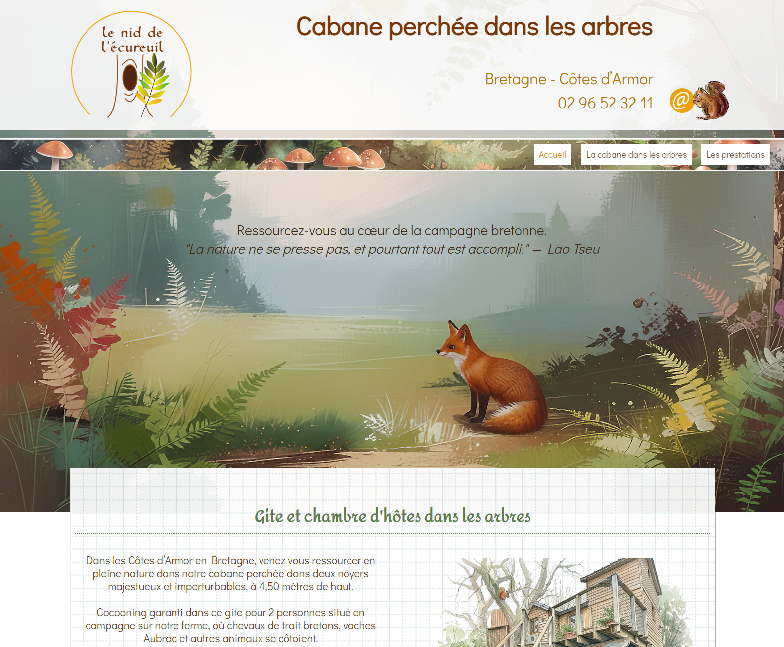 Le Nid de l'Ecureuil, cabane perchée dans les arbres, gîte et chambre d'hôtes